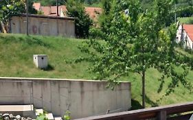 Stylový apartmán č. 8 U Venuše, Pavlov u Mikulova